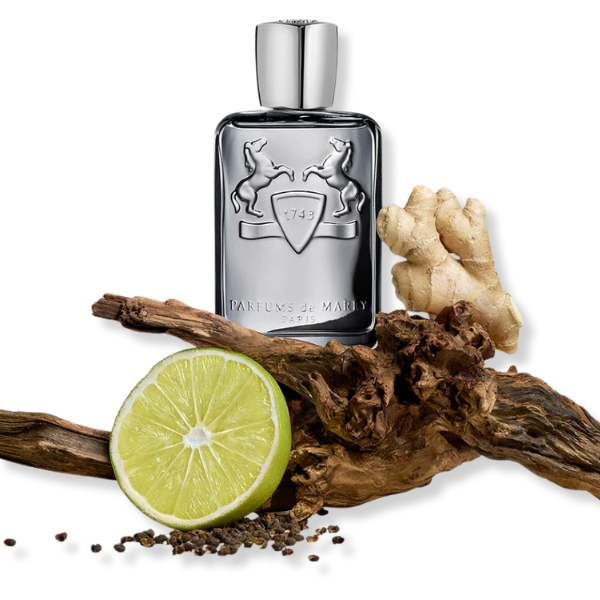 Parfums de marly castley single