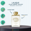 Lalique pour homme lion